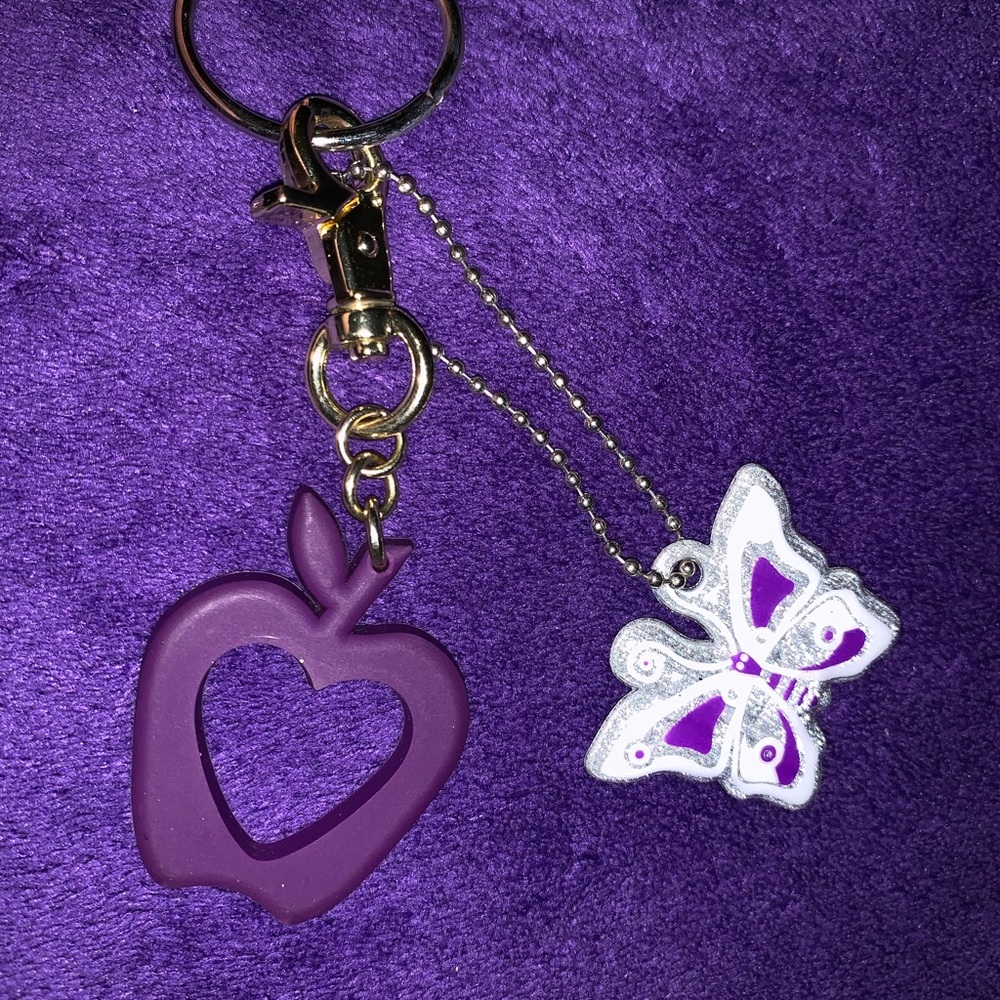 purse or backpack accessory